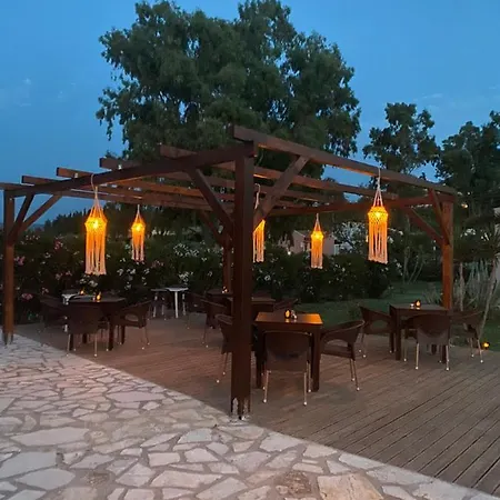 Elena Stef Sidárion